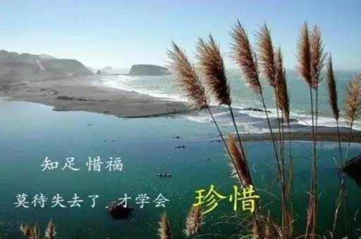 圖片1 圖片1