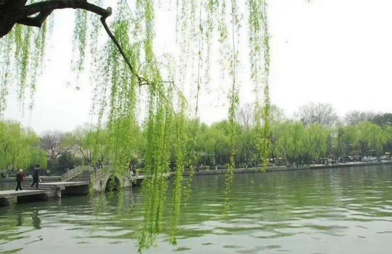 圖片3